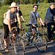Critical Mass 1608 2304b