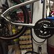 Cannondale Hooligan 2017, with 53T Chainwheel from Rotor.