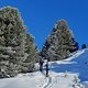 Habemus Pulver:
Schöne Skitour mit etwas fadem Forstweghatscher, oben pulvrige Hänge, verschneite Zirben und blauer Himmel :)