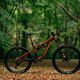 Orbea Rallon 2024 - Large2