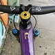 IMG 1996