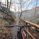 Hardtail-Rowdy-Runde