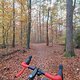 Herbstwaldrunde mit Crosser