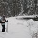 Langlauftour Kammloipe in den Sachsengrund