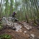 BC Squamish - Rupert