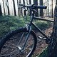 IMG 005516