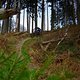 DSC05004