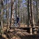 Bike Beerfelden P 275
