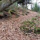 SDC18850 kl