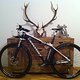 Flash Carbon 1 29er (3)
