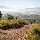 Aufholjagd - Kristian Hynek und Robert Mennen nach ihrem Reifenwechsel - Foto von Nick Muzik-Cape Epic-SPORTZPICS