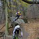 IMG 3274