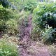 Foto0042