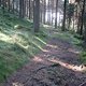 0029 Torfhaus-Trail