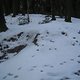 IMG1726