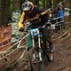 IMG 0617