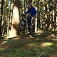 Biking is awesome