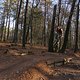 IMG 1812