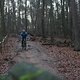 IMG 1243