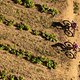 Lachlan Morton &amp; Kenneth Karaya of EF Education-Nippo during stage 7 of the 2021 Absa Cape Epic Mountain Bike stage race from CPUT Wellington to Val de Vie, South Africa on the 24th October 2021

Photo by Gary Perkin/Cape Epic

PLEASE ENSURE THE APPR