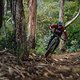 specialized-stumpjumper-action-6838