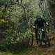 Bergauf, bergab, langsam, schnell, verspielt, geradeaus: Trail-Bikes sollen überall glänzen