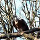 IMG 9786