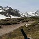 IMAG0135