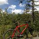 Cannondale M800 (2011)