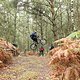 Bikepark Filthy Trails Maasmechelen/Belgien