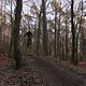 IMG 1978