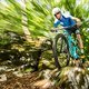 Ein Race-Bike, das alle Facetten des Cross Country-Sports abdeckt