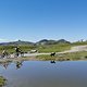 IMG 20240820 112054-EDIT