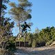 IMG 7875