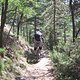 IMG 2672
