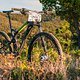 Cannondale Trigger 29 Carbon-6