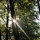 Sunlight ! ♥