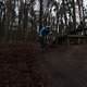 IMG 2062