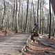IMG 1556