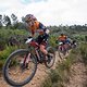 Laura Stigger and Sina Frei during stage 5 of the 2021 Absa Cape Epic Mountain Bike stage race from CPUT Wellington to CPUT Wellington, South Africa on the 22nd October 2021

Photo by Sam Clark/Cape Epic

PLEASE ENSURE THE APPROPRIATE CREDIT IS GIVEN