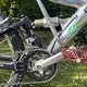 IMG 3158