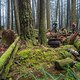 BC Squamish - Stl&#039;lhalem Sintl&#039;