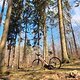 Gravel - Köfi &amp; Gammersbach Tal