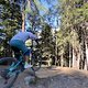 IMG 7481