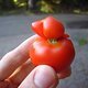 Quietscheentchen oder Tomate?