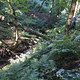 IMG 0684