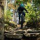 Trail Riding Pfalz