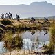 Riders during stage 1 of the 2021 Absa Cape Epic Mountain Bike stage race from Eselfontein in Ceres to Eselfontein in Ceres, South Africa on the 18th October 2021

Photo by Sam Clark/Cape Epic

PLEASE ENSURE THE APPROPRIATE CREDIT IS GIVEN TO THE PHO