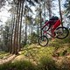 20250315-04 Zittauer Gebirge