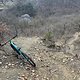 IMG 1231